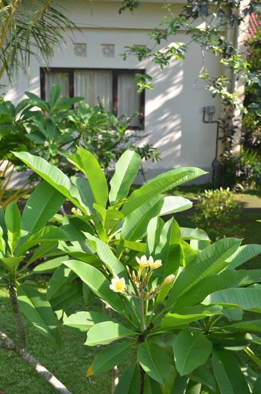 Wijaya Guest House Ubud מראה חיצוני תמונה