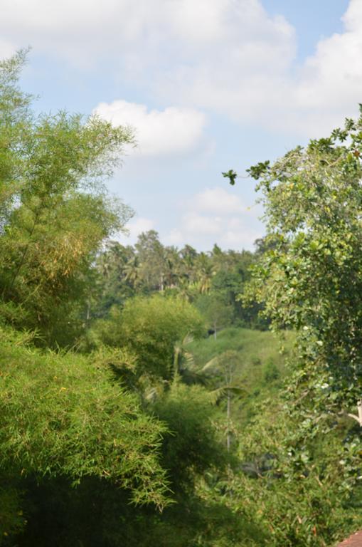 Wijaya Guest House Ubud מראה חיצוני תמונה